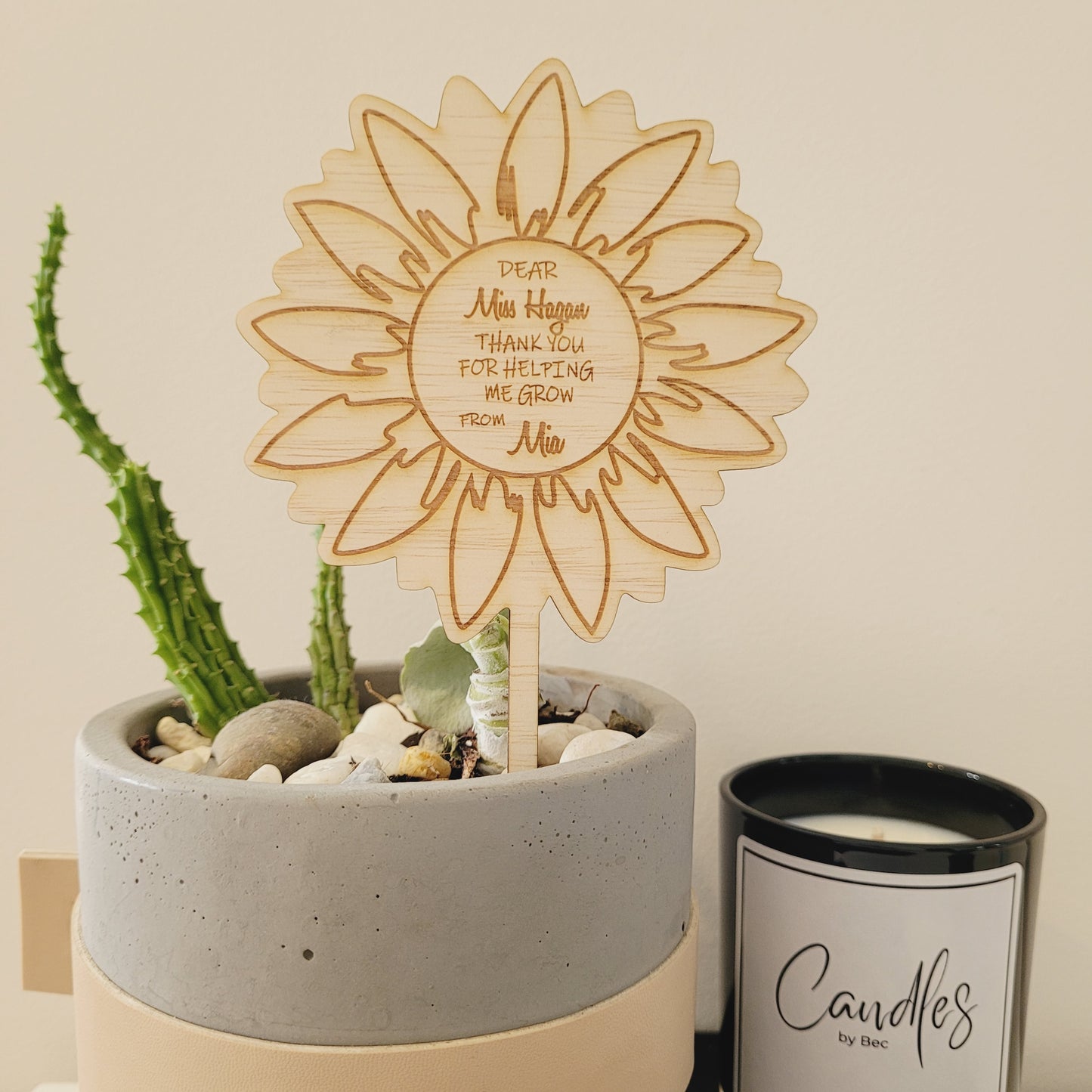 'Thanks for helping me grow' pot plant stake
