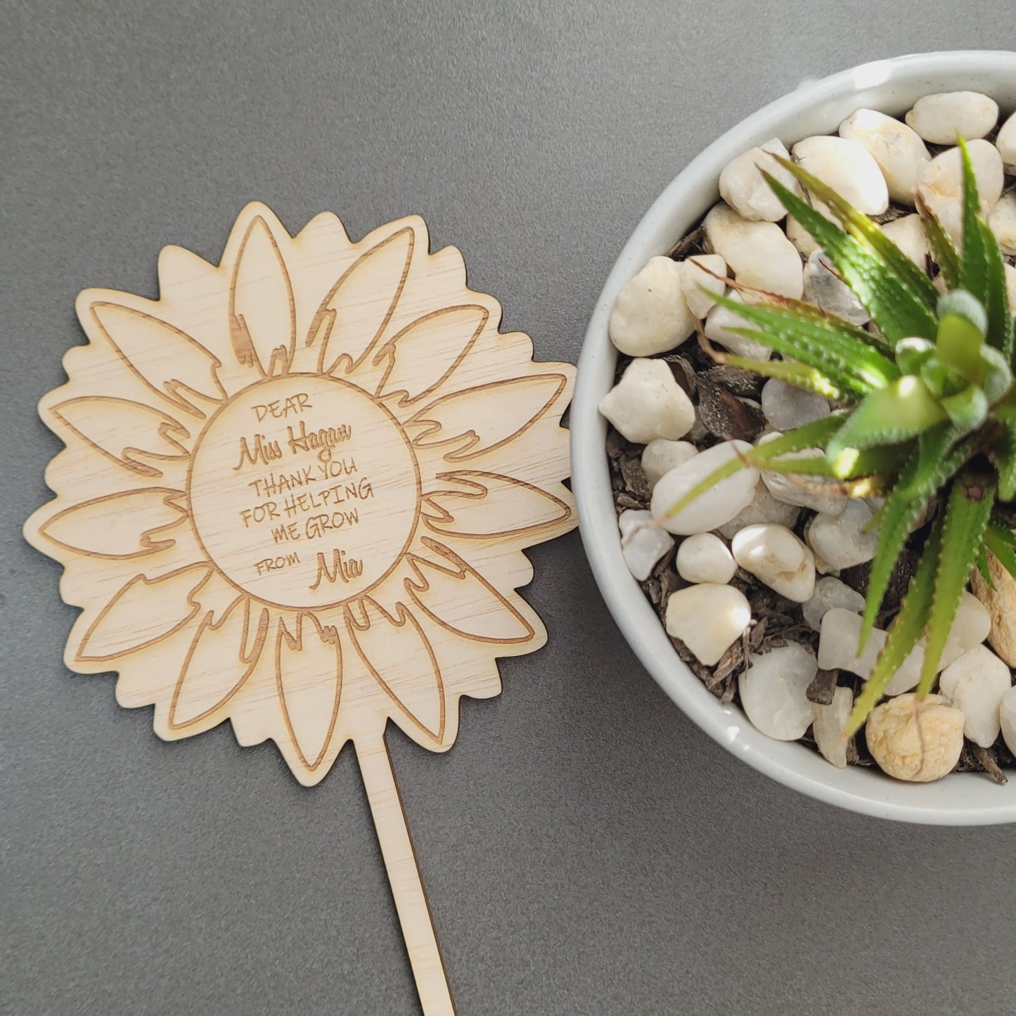 'Thanks for helping me grow' pot plant stake