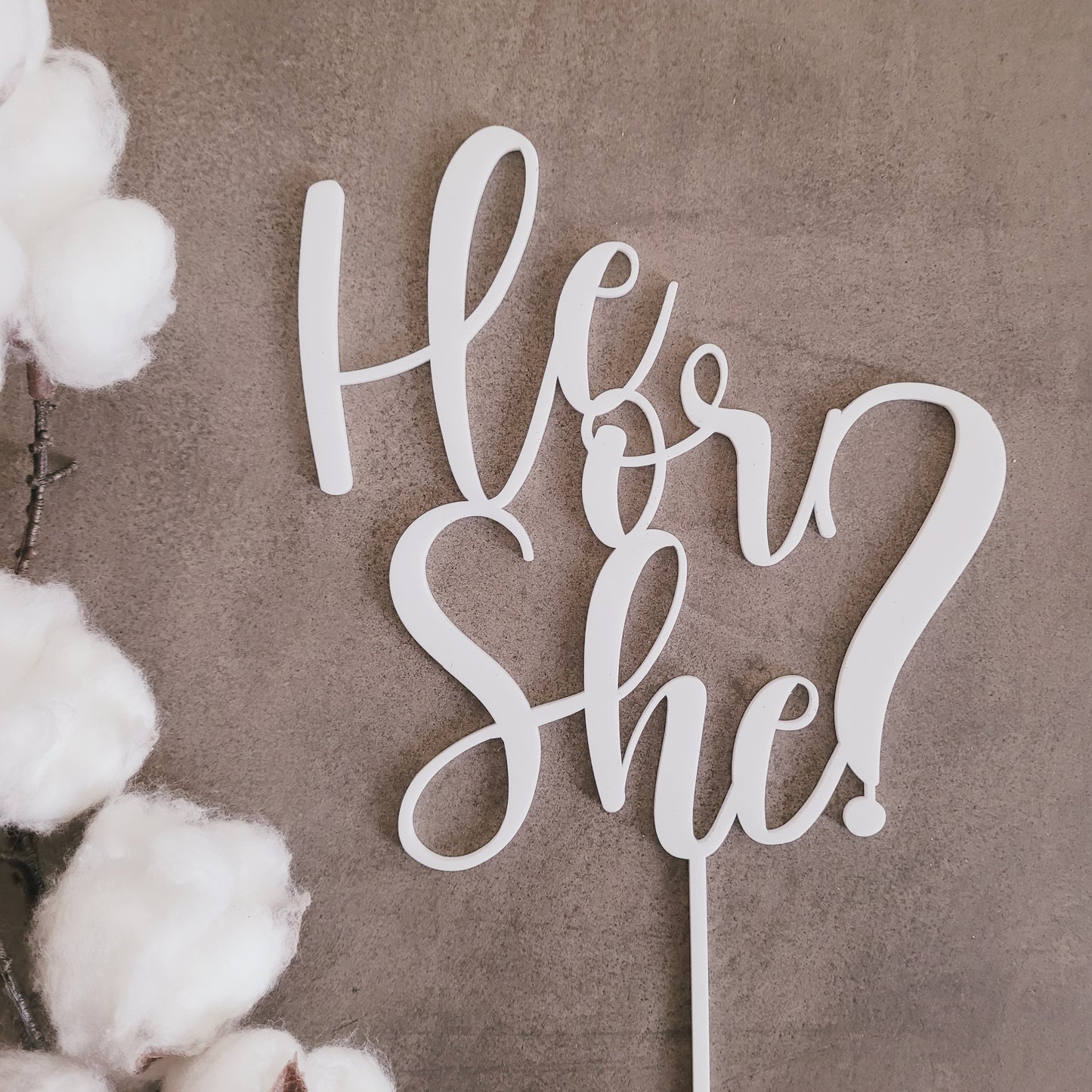 He or She Cake Topper