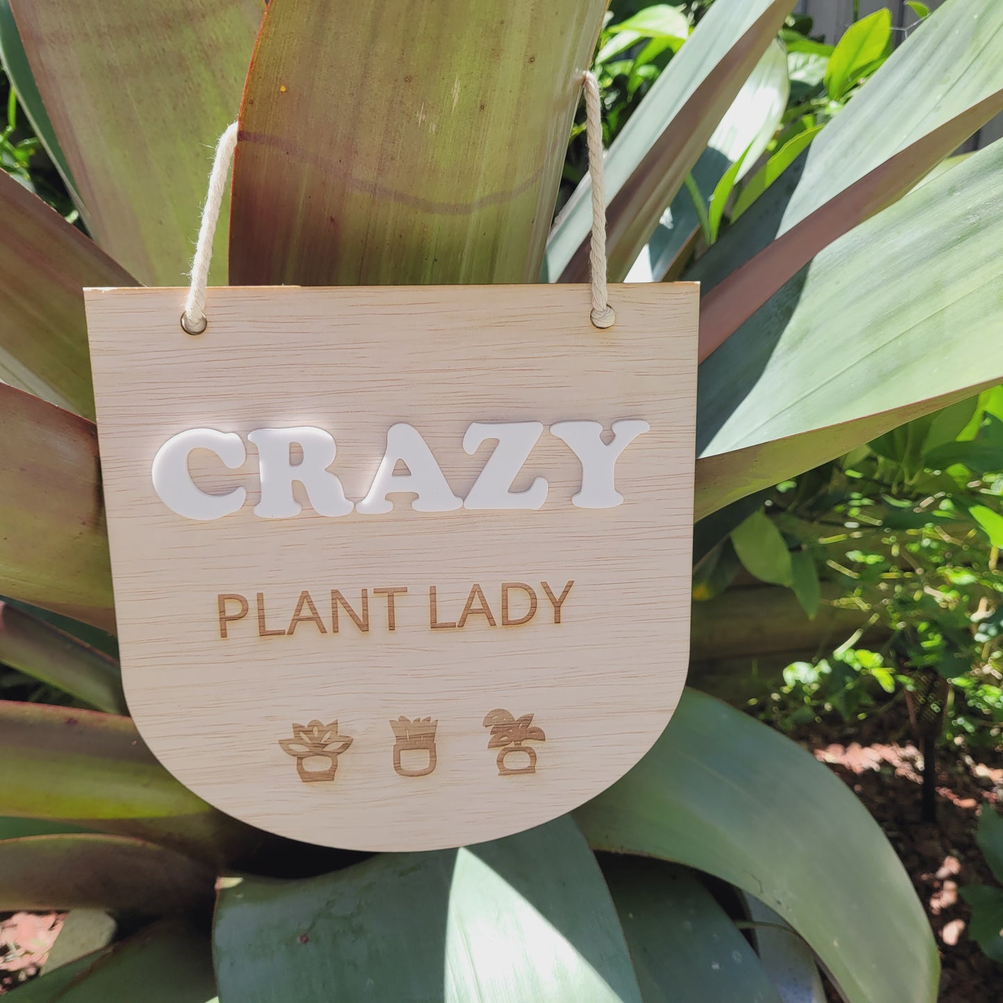Crazy Plant Lady / Guy Sign
