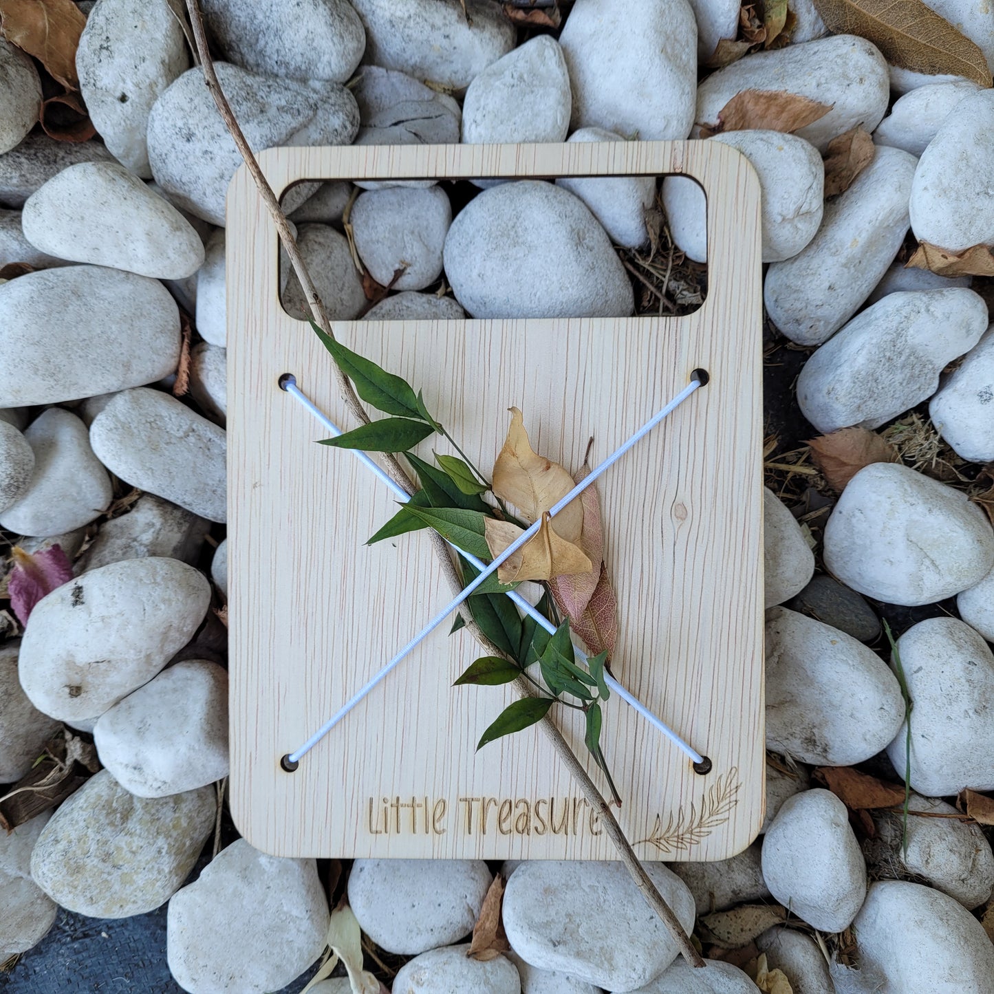 Nature Collector Board