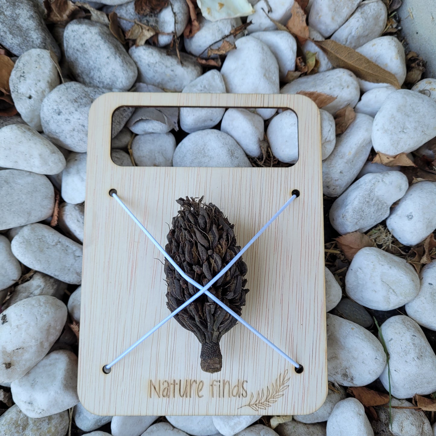 Nature Collector Board