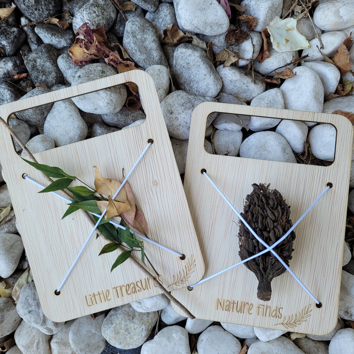 Nature Collector Board