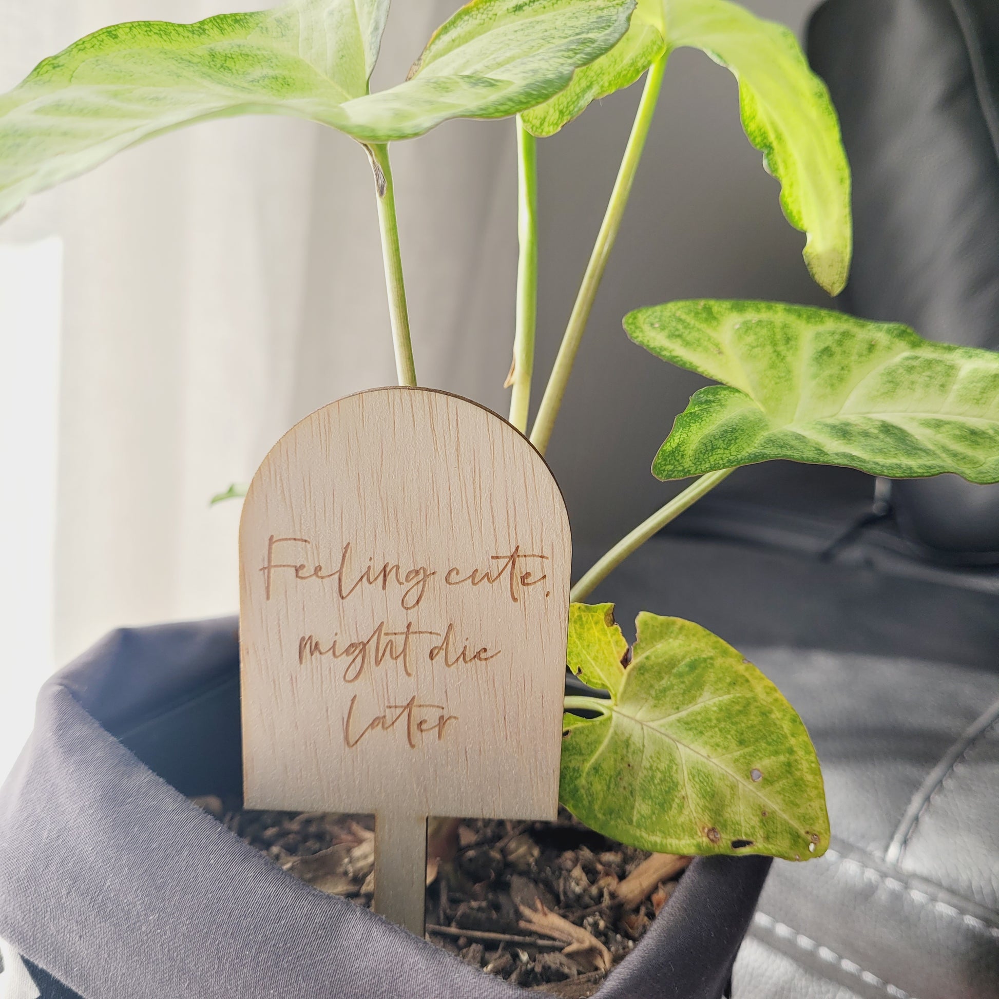 plant hanger quotes Quote Plant Stakes
