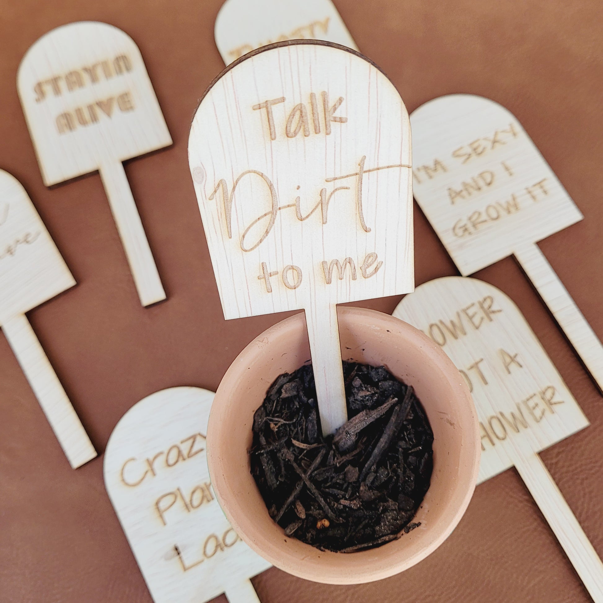 plant hanger quotes Quote Plant Stakes – onelittlereason